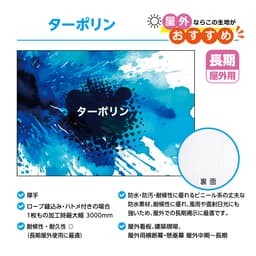 横断幕・懸垂幕・店頭幕 サムネイル画像（5枚目）