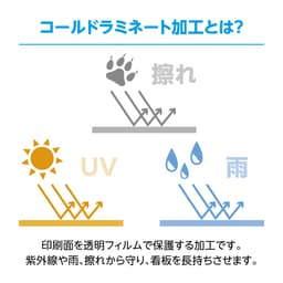 ナンバープレート サムネイル画像（5枚目）
