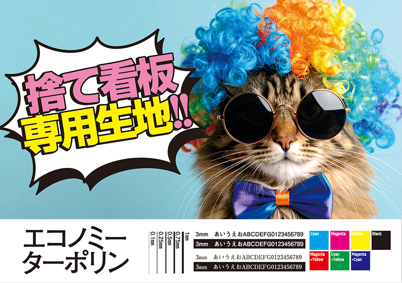 エコノミーターポリン